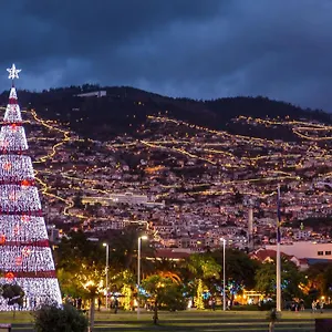 https://1st-line-flat-i.madeira-islandshotels.com